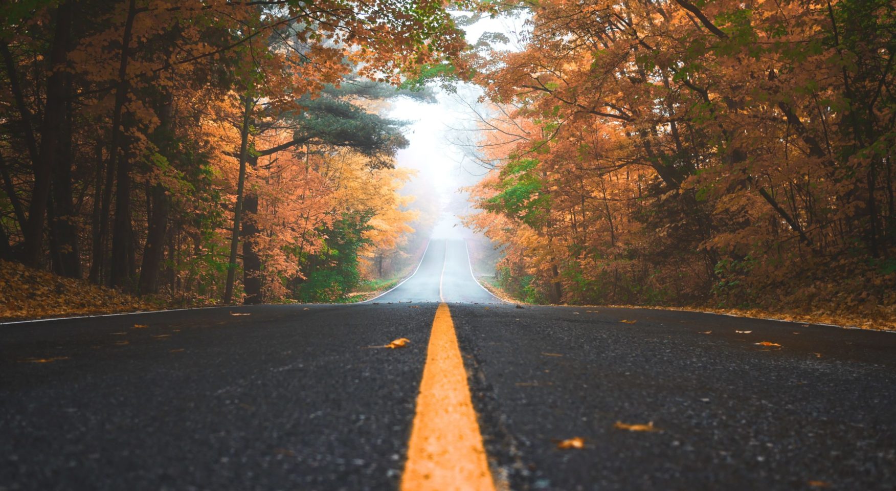 yellow line on road in autumn