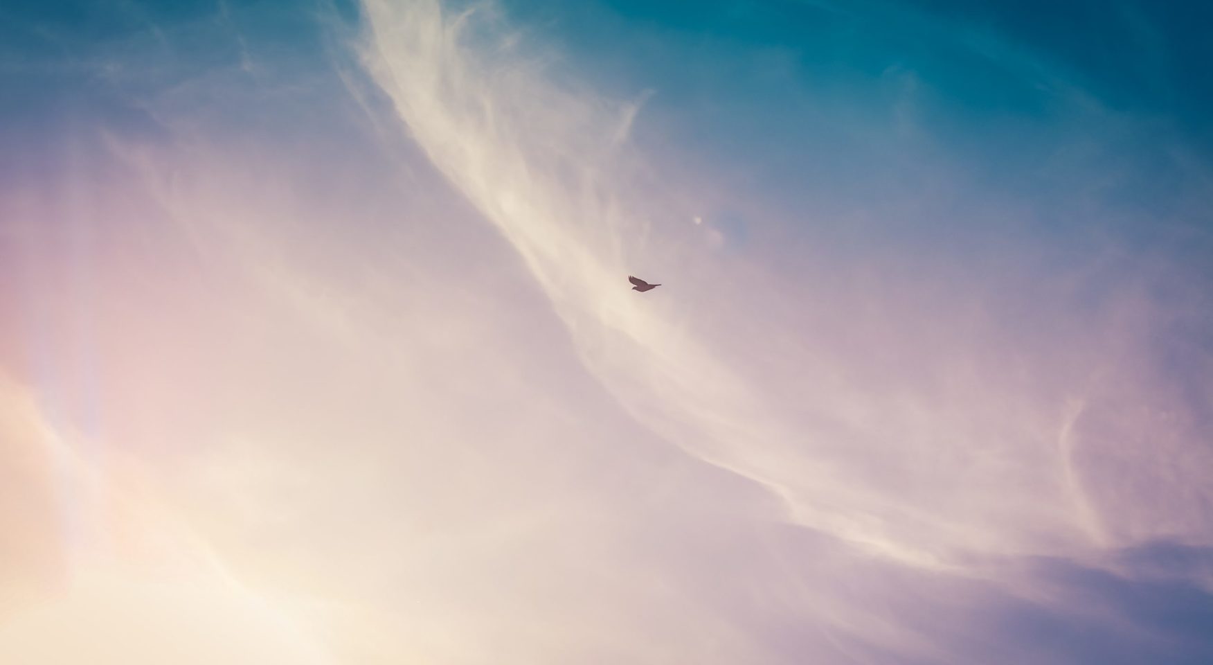 Single bird flying across a wispy sky